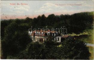 1907 Baile Govora (Valcea), Vila Paulinescu Positiune Pitoreasca / villa (EK)