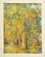 Váczi Lajos (XX. sz. második fele): Őszi erdő. Olaj, karton, jelzett. Kopott fakeretben. 56×44 cm