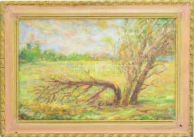 Váczi Lajos (XX. sz. második fele): Vihar után. Olaj, fa, jelzett. Dekoratív, kissé sérült fakeretben. 30×44 cm