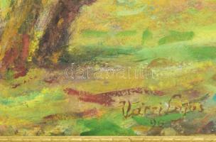 Váczi Lajos (XX. sz. második fele): Vihar után. Olaj, fa, jelzett. Dekoratív, kissé sérült fakeretbe...