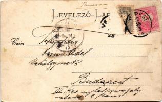 Versec, Werschetz, Vrsac; Rickli-Haus / villa. Wilh. Wettl kiadása / villa (Rb)