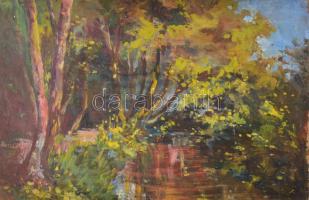 Jelzés nélkül, XX. sz. eleje: Vízparti táj. Olaj, fatábla. 22,5x34 cm