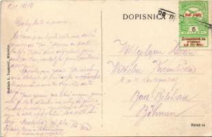 1914 K.u.K. Kriegsmarine Donauflottille / Császári és Királyi Haditengerészet Dunaflottilla "Te...