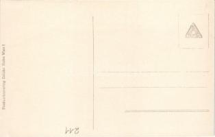 Am südlichen Kriegsschauplatz. Monitor an der Save SMS BODROG. K.u.K. Kriegsmarine Donauflottille / ...