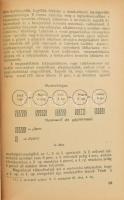 Harsányi István: Gépgyárak tervezése, szervezése. 1. sz. jegyzet. A szocialista iparvállalat. A gyár...