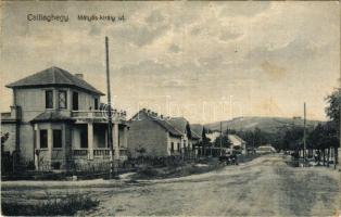 Budapest III. Csillaghegy, Mátyás király út. Baukó János kiadása (fl)