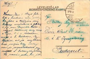 1909 Pöstyén, Piestany; Király sor, nyaralók, villák. Kohn Bernát kiadása / Villen an der Weg / vill...