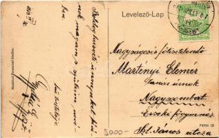 1913 Blatnica (Turócszentmárton), vár. Moskóczi Ferencné kiadása / Blatnicky hrad / castle (kis szak...