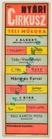 Nyári cirkusz műsor plakát 26x68 cm