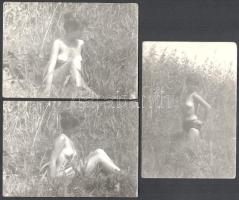 3 db meztelen lány a nádasban fotó 6x9 cm