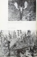 Vadászlesen - Híres vadászok válogatott írásai. Vál. és összeáll.: Véber Károly. Bp., 1966, Gondolat...