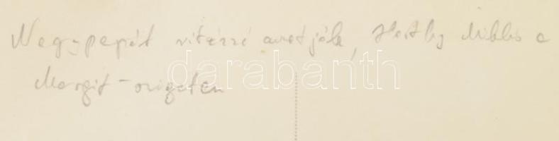 cca 1915-1950 vitéz Széles János (1886-?) m. kir. rendőr főfelügyelő (eredetileg tanító, az I. világ...