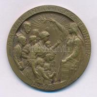 Zsákodi Csiszér János (1883-1953) 1928. "Magyar Anyák Nemzeti Ünnepe" egyoldalas bronz emlékérem (40mm) T:XF