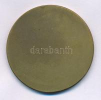 Zsákodi Csiszér János (1883-1953) 1928. "Magyar Anyák Nemzeti Ünnepe" egyoldalas bronz eml...