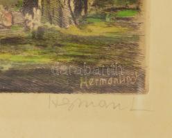 Herman Lipót (1884-1972): Balaton.Színezett rézkarc, papír, jelzett. Kissé foltos. Üvegezett, dekora...