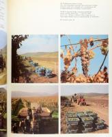 Szelényi Károly: Tokaj és vidéke. Táj változó fényben. 1981, Corvina. Kiadói egészvászon kötés, szak...