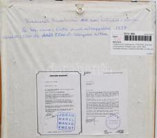 Friedensreich Hundertwasser (1928-2000): Autó piros esőcseppekkel. Kollotípia, papír, jelzés nélkül....