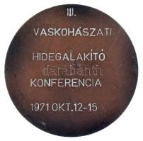 1970. "Dunaújváros 1950-1970" bronzozott Al plakett, hátoldalán gravírozva, eredeti díszto...