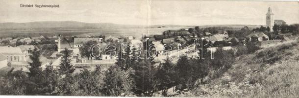 Nagyborosnyó panoramacard