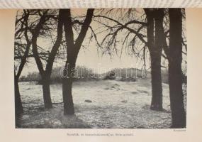 [Hedin, Sven (1865-1952)] Sven Hedin: A selyem útja. I-II. kötet. Ford.: vitéz Mezey Dénes. A Magyar...