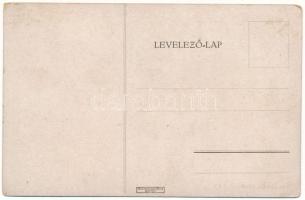 Temesvár, Timisoara; Szana villa. Pápai Ernő műintézete (Budapest) / villa (kopott sarkak / worn cor...