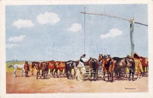 An der Tranke s: Benyovszky