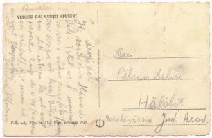 Erdélyi-középhegység, Muntii Apuseni; Vedere / látkép, juhász a juhokkal / shepherd with sheep (fa)