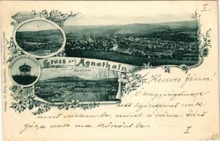 1899 (Vorläufer) Szentágota, Agnetheln, Agnita; Lederfabrik, Aussichtswarte auf Steinburgshöh, Marktplatz / Bőrgyár, Piactér, kilátótorony. M. Lang kiadása / leather factory, market square, lookout tower. Art Nouveau, floral (fl)