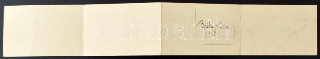 1913 Brcko, Brcka; port in winter, ships, steamships. 4-tiled folding panorama card. F. Zeitler (wor...