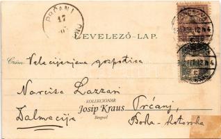 1901 Pancsova, Pancevo; Franz Josef-Platz, Griech.-ort. Kirche, Bräuhaus, Gebäude d. röm. Kath. Kirc...