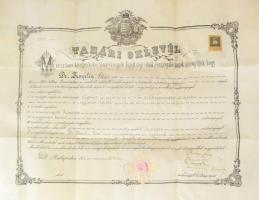 1905 Pergamen tanári oklevél díszes címerrel, Zemplén Géza vegyész (1883-1956) részére aláírásokkal 60x45 cm