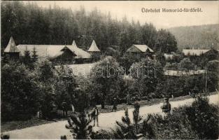 Homoródfürdő, Homoród-fürdő, Baile Homorod; fürdő / spa