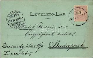 1899 (Vorläufer) Eperjes, Presov; látkép. Fénynyomat Divald műintézetéből / general view