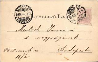 1899 (Vorläufer) Kapi, Kapusany; várrom, lovaskocsi a fahídon. Fénynyomat Divald műintézetéből / Kap...