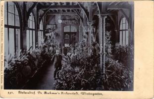 Sokolowsko, Görbersdorf (Mieroszów); Dr. Brehmer's Heilanstalt, Wintergarten / sanatorium, spa, winter garden. Photographie &amp; Verlag Georg Schroeder, Dittersbach, Kreis Waldenburg in Schlesien 1906. Original photo glued on to postcard (EK)