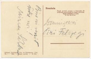 Kolibica, Colibita; Sanatorul Caritatea, Pavilinolul Studentilor universitari / szanatórium / sanato...