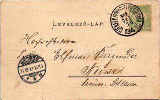 1902 Székelykeresztúr, Kristur, Cristuru Secuiesc; Wagner Vilmos, Lengyel László üzlete és saját kia...