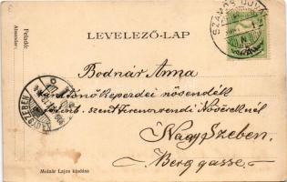 1906 Zilah, Zalau; Polgári tér, Honvéd laktanya. Molnár Lajos kiadása / square, K.u.K. military barr...