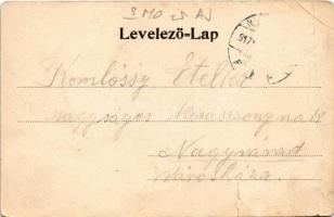 1917 Nagyszalonta, Salonta; Csonkatorony, Arany János szülőháza, Arany szoba, Arany Toldija, Czinczá...