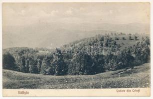 Szelistye, Salistea Sibiului, Saliste; Vedere din Crinti. Dumitru B. Comea / látkép / general view (EB)