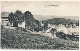 Temesfő, Weidenthal, Brebu Nou, Vaidental; látkép. Jos. Drotleff / general view (EK)