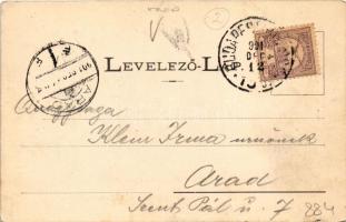 1901 Kolozsvár, Cluj; Sétatéri szökőkút. Dunky Fivérek cs. és kir. udvari fényképészek / promenade f...