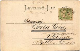 1904 Zsombolya, Hatzfeld, Jimbolia; Gróf Csekonics Csitó kastélya. Perlstein F. kiadása / castle (ko...