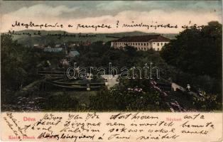 1905 Déva, Népkert. Hirsch Adolf kiadása / park (EK)