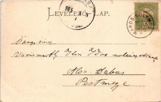 1905 Déva, Népkert. Hirsch Adolf kiadása / park (EK)