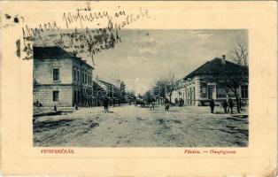 1914 Temesrékas, Temes-Rékás, Recas; Fő utca. W.L. Bp. 57. / Hauptgasse / main street (EK)