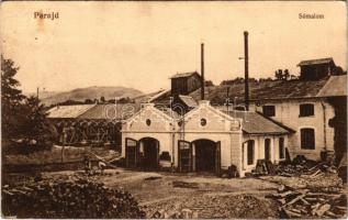 1917 Parajd, Praid; Sómalom, sóbánya. Stein Márkus kiadása / salt mill, salt mine (EB)