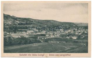 Hosszúaszó, Langenthal, Hosszuszeo, Valea Lunga; látkép. F. Theil felvétele / general view (fl)