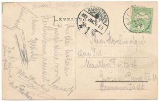 1909 Szelindek, Stolzenburg, Slimnic; látkép, vár. Thomas Zimmermann kiadása / general view, castle ...