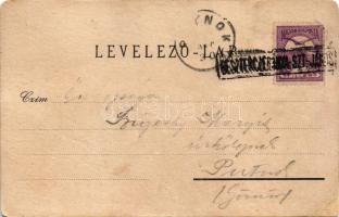 1900 Besztercebánya, Banská Bystrica; Bethlen Gábor utca, Hungária szálloda. Ilona műintézet / stree...